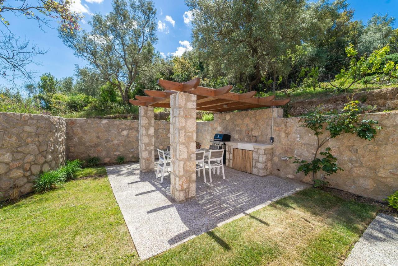 31 Blue Ionian Villas Apolpaina Bagian luar foto